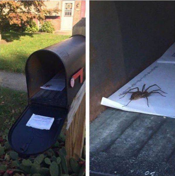 daily picdump weekend edition 60 pics 17.html - 60 HD Photos | Premium Gallery 2016