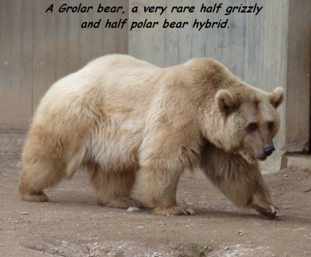 daily picdump 93 pics 25.html - 93 HD Photos | Premium Gallery 2016