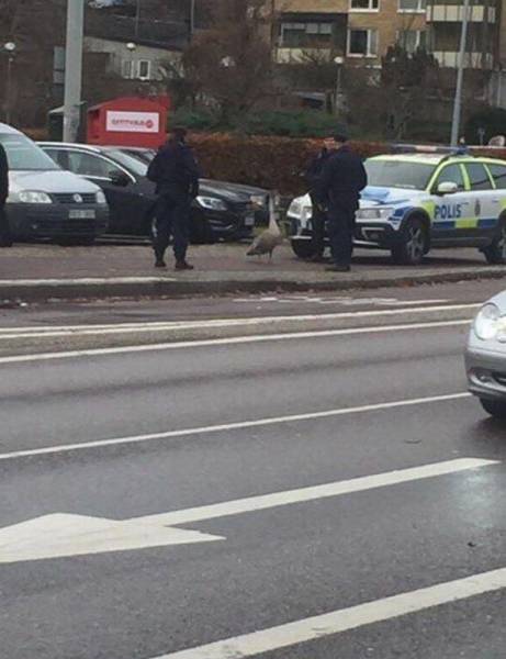 daily picdump 93 pics 25.html - 93 HD Photos | Premium Gallery 2016