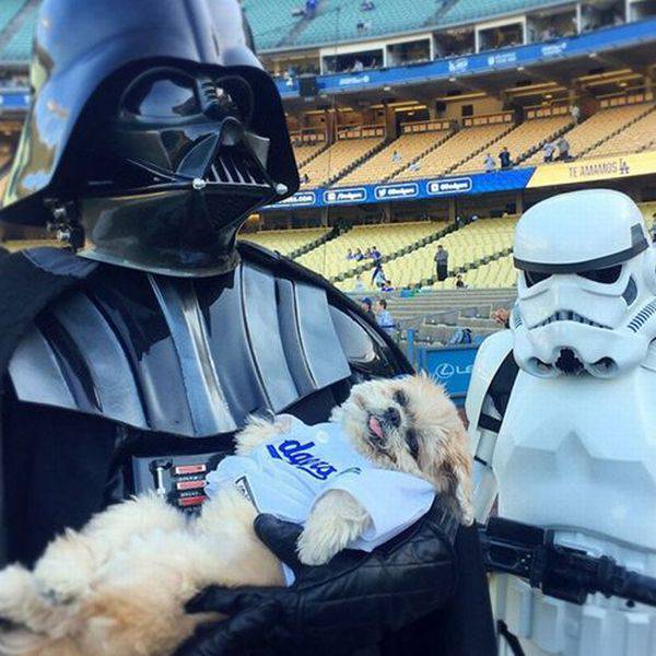 daily picdump 93 pics 25.html - 93 HD Photos | Premium Gallery 2016