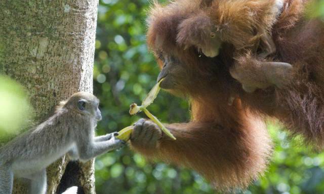 daily picdump 93 pics 25.html - 93 HD Photos | Premium Gallery 2016