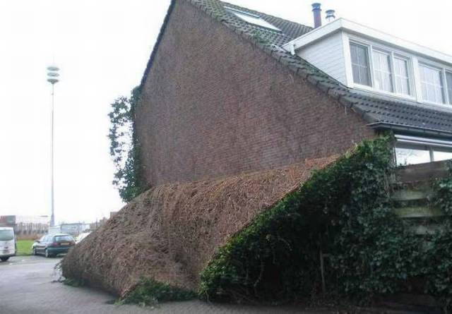 daily picdump 93 pics 25.html - 93 HD Photos | Premium Gallery 2016