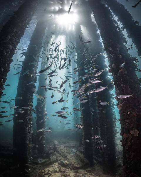 daily picdump 93 pics 25.html - 93 HD Photos | Premium Gallery 2016