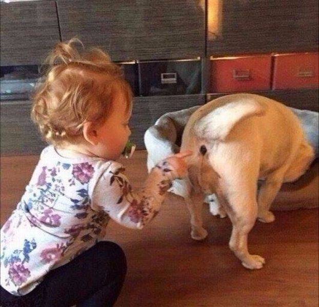 daily picdump 93 pics 25.html - 93 HD Photos | Premium Gallery 2016