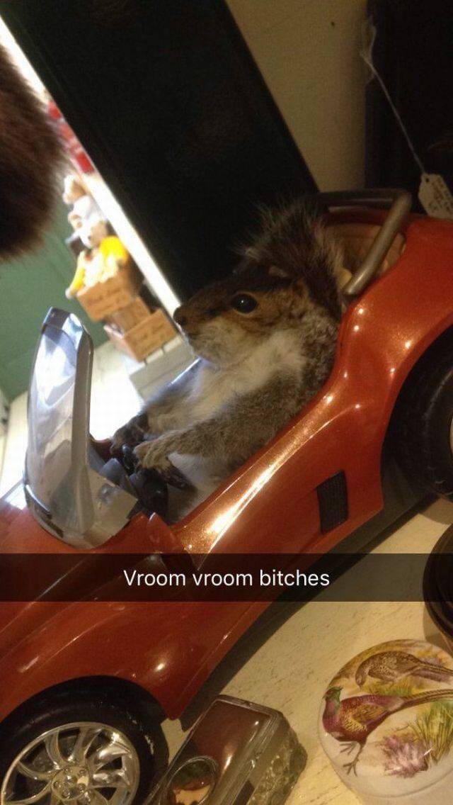 daily picdump 93 pics 25.html - 93 HD Photos | Premium Gallery 2016