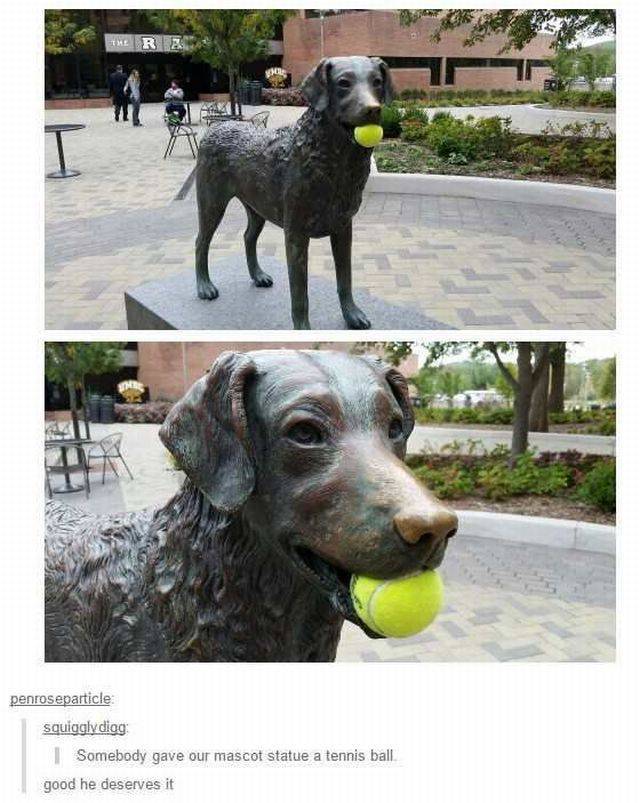 daily picdump 93 pics 25.html - 93 HD Photos | Premium Gallery 2016