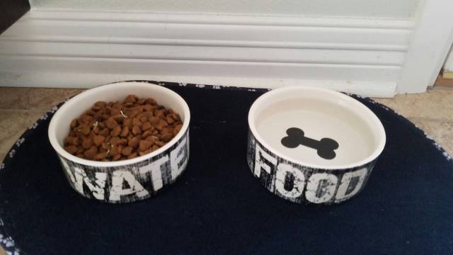 morning picdump 50 pics 17.html - 50 HD Photos | Premium Gallery 2016