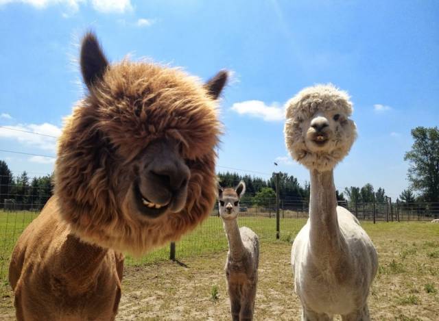 morning picdump 50 pics 17.html - 50 HD Photos | Premium Gallery 2016