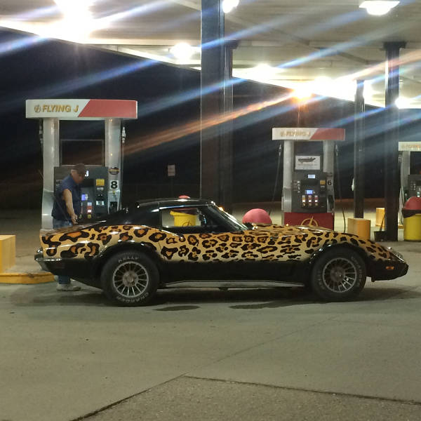 morning picdump 50 pics 17.html - 50 HD Photos | Premium Gallery 2016