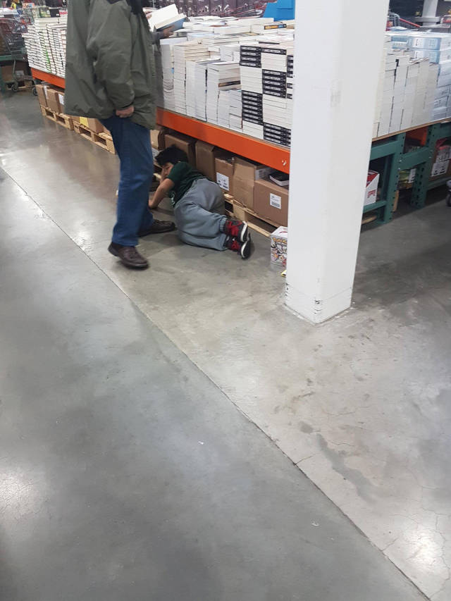 morning picdump 50 pics 17.html - 50 HD Photos | Premium Gallery 2016