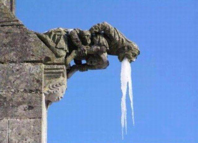 daily picdump 96 pics 45.html - 96 HD Photos | Premium Gallery 2016