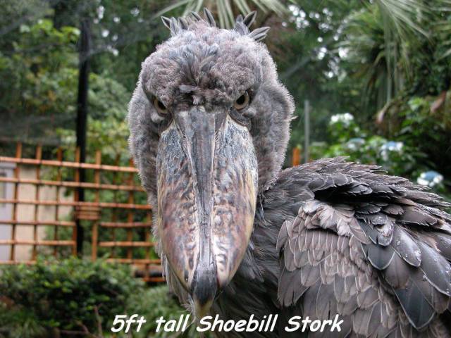 daily picdump 96 pics 45.html - 96 HD Photos | Premium Gallery 2016