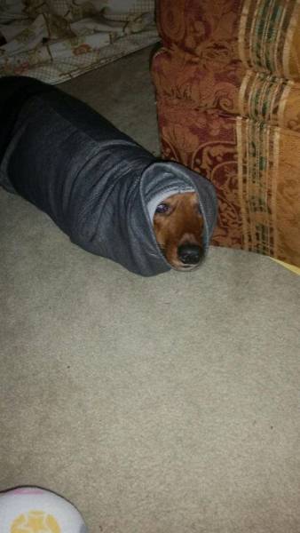 daily picdump 96 pics 45.html - 96 HD Photos | Premium Gallery 2016