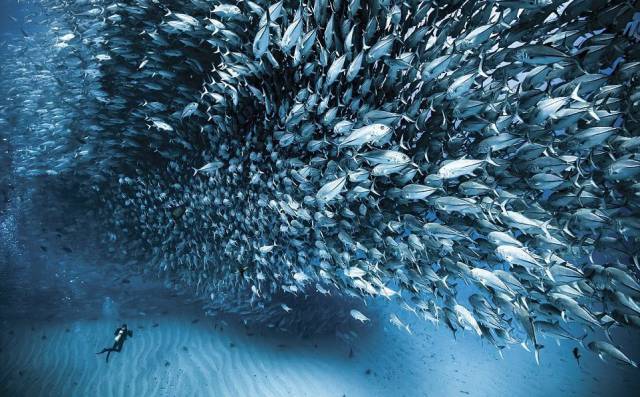 daily picdump 96 pics 45.html - 96 HD Photos | Premium Gallery 2016