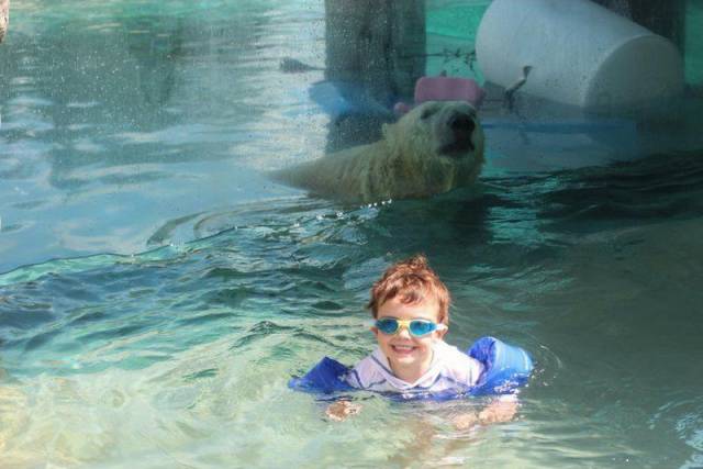 daily picdump 96 pics 45.html - 96 HD Photos | Premium Gallery 2016