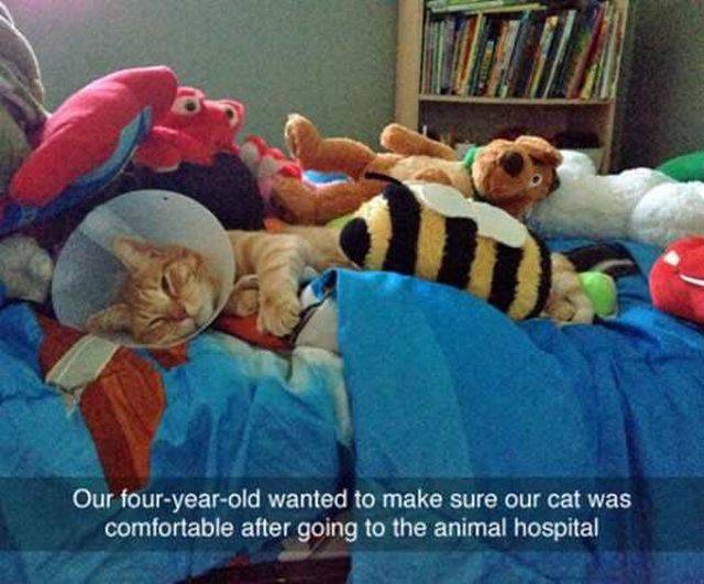 daily picdump 96 pics 45.html - 96 HD Photos | Premium Gallery 2016