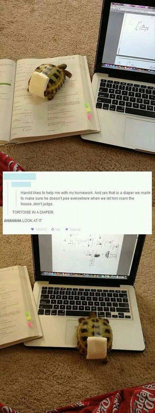 daily picdump 96 pics 45.html - 96 HD Photos | Premium Gallery 2016