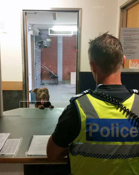 morning picdump 50 pics 13.html - 50 HD Photos | Premium Gallery 2016