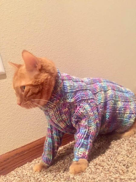 morning picdump 50 pics 13.html - 50 HD Photos | Premium Gallery 2016