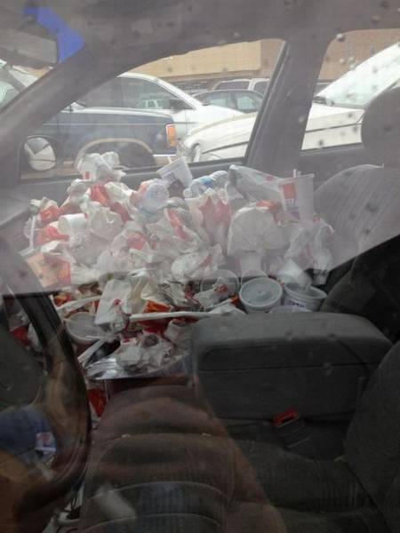 daily picdump 100 pics 40.html - 100 HD Photos | Premium Gallery 2016