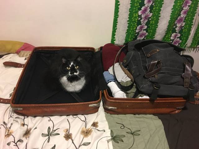 daily picdump 100 pics 40.html - 100 HD Photos | Premium Gallery 2016