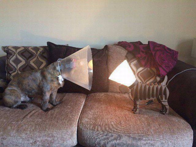 daily picdump 100 pics 40.html - 100 HD Photos | Premium Gallery 2016