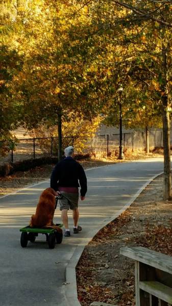 morning picdump 51 pics 17.html - 51 HD Photos | Premium Gallery 2016