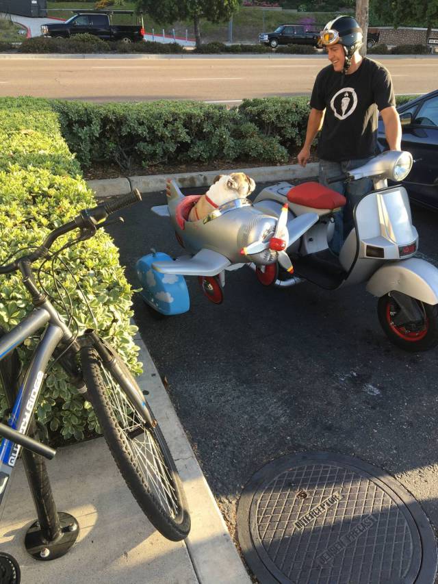 morning picdump 51 pics 17.html - 51 HD Photos | Premium Gallery 2016