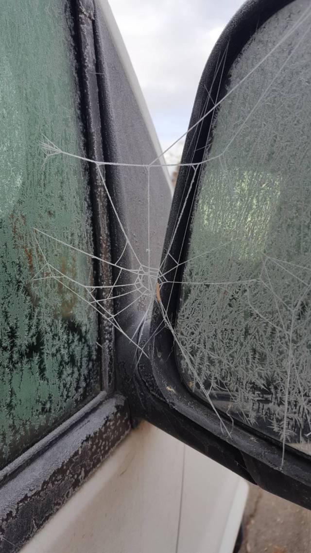 morning picdump 51 pics 17.html - 51 HD Photos | Premium Gallery 2016