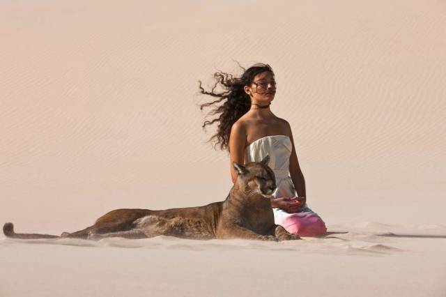 daily picdump 80 pics 13.html - 80 HD Photos | Premium Gallery 2016