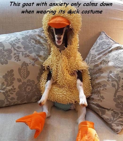 daily picdump 80 pics 13.html - 80 HD Photos | Premium Gallery 2016