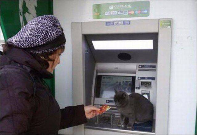 daily picdump 80 pics 13.html - 80 HD Photos | Premium Gallery 2016