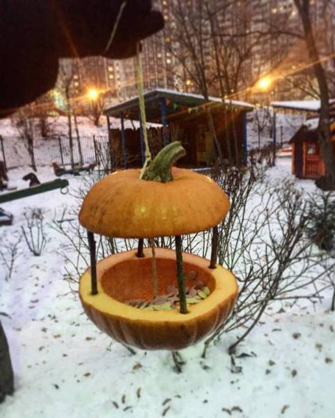 Morning Picdump