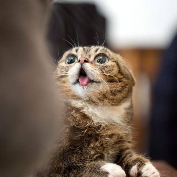 Daily Picdump [WEEKEND EDITION]