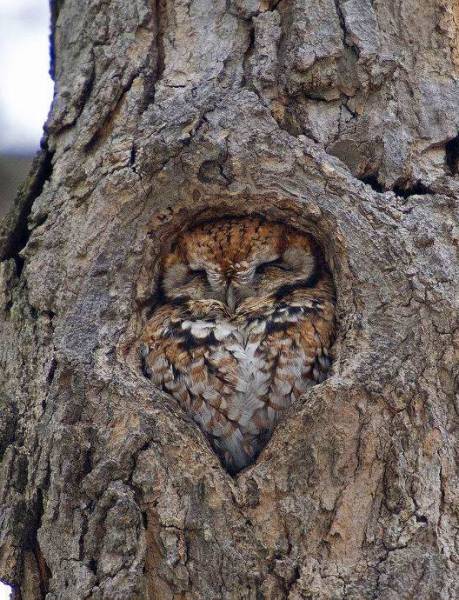 Daily Picdump [WEEKEND EDITION]