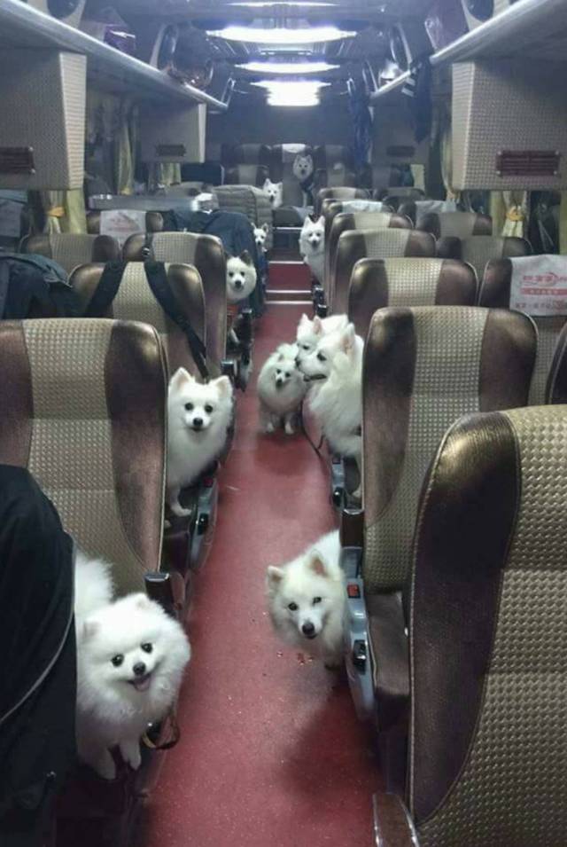 Daily Picdump [WEEKEND EDITION]
