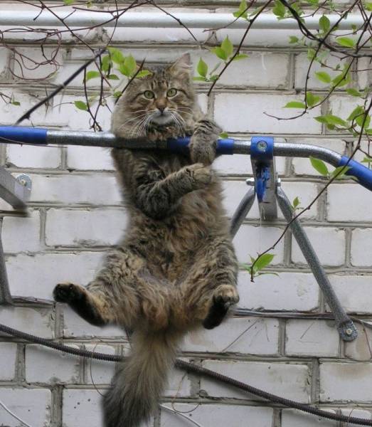 Daily Picdump
