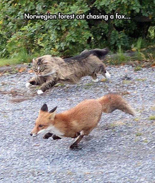 daily picdump 96 pics 35.html - 96 HD Photos | Premium Gallery 2016
