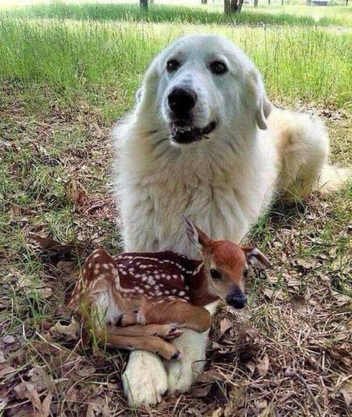 daily picdump 96 pics 35.html - 96 HD Photos | Premium Gallery 2016
