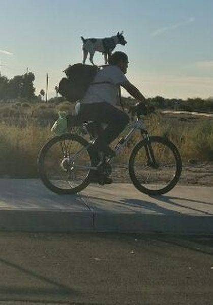 daily picdump 96 pics 35.html - 96 HD Photos | Premium Gallery 2016