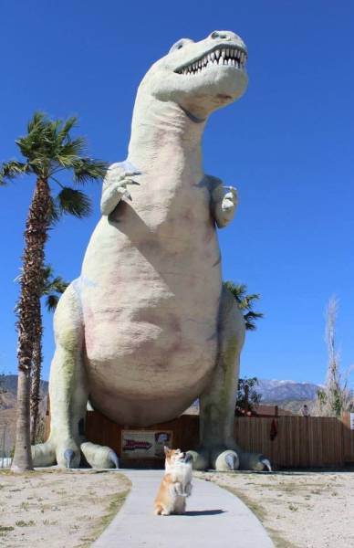 daily picdump 96 pics 35.html - 96 HD Photos | Premium Gallery 2016