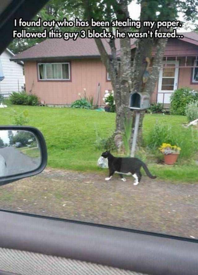 daily picdump 96 pics 35.html - 96 HD Photos | Premium Gallery 2016
