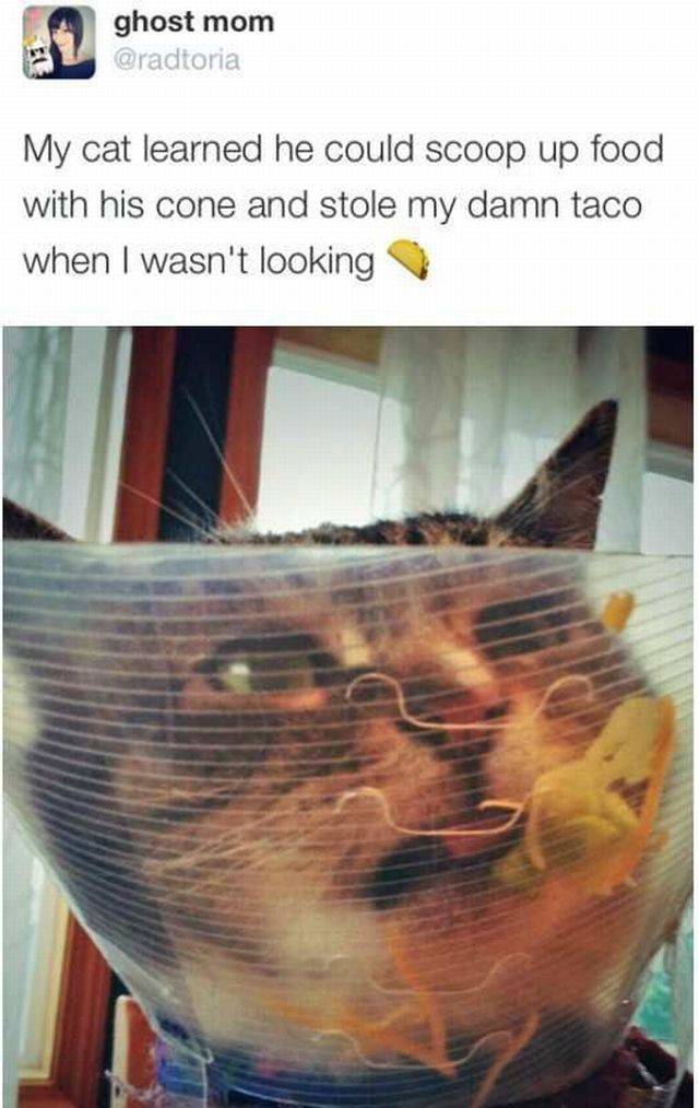 daily picdump 96 pics 35.html - 96 HD Photos | Premium Gallery 2016