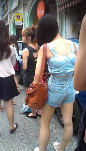 Daily Picdump
