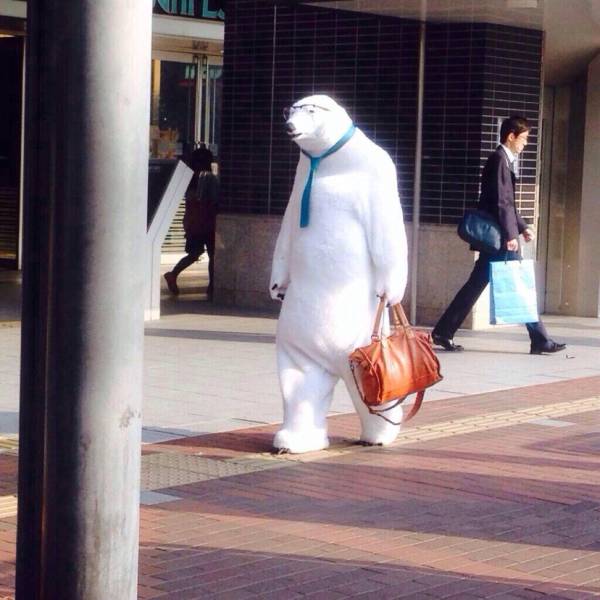 Daily Picdump