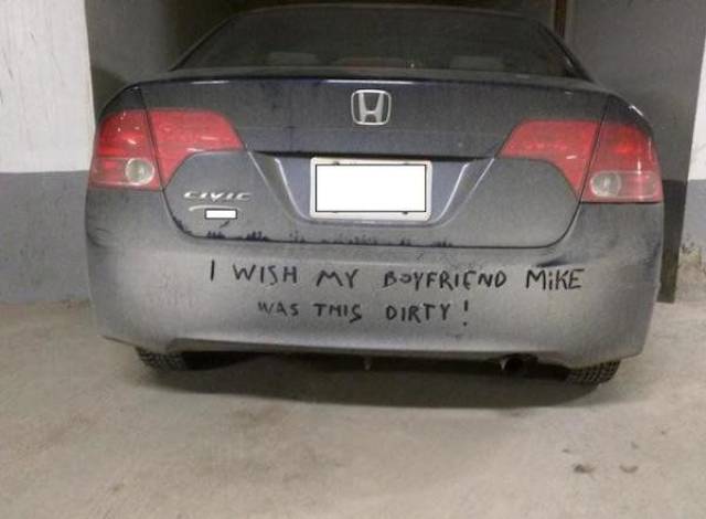 Daily Picdump