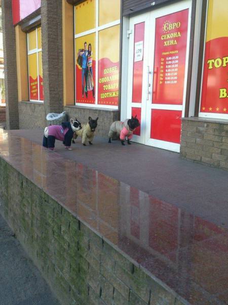 daily picdump 101 pics 26.html - 101 HD Photos | Premium Gallery 2016