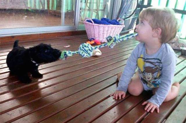 daily picdump 101 pics 26.html - 101 HD Photos | Premium Gallery 2016