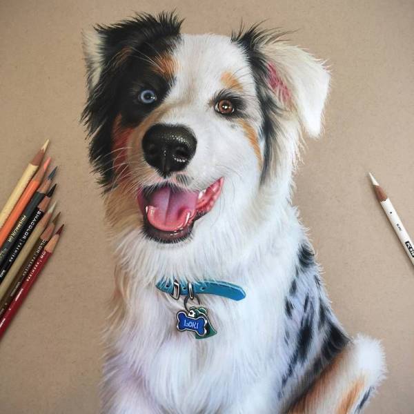 daily picdump 101 pics 26.html - 101 HD Photos | Premium Gallery 2016