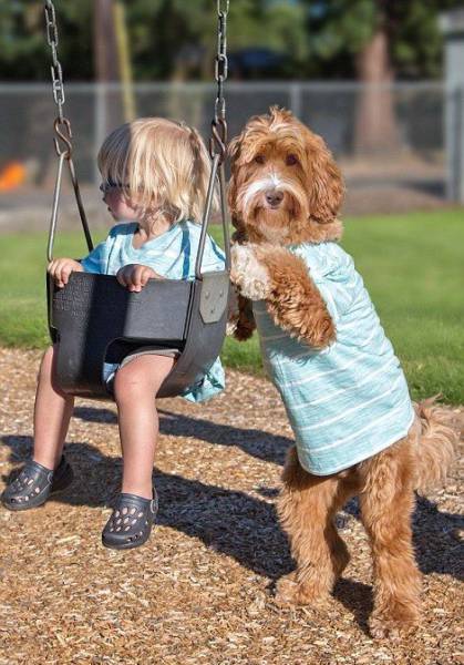 daily picdump 101 pics 26.html - 101 HD Photos | Premium Gallery 2016